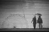 Rainy day silhouette Poster och Canvastavla