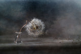 The ballad of the dandelion... Poster och Canvastavla