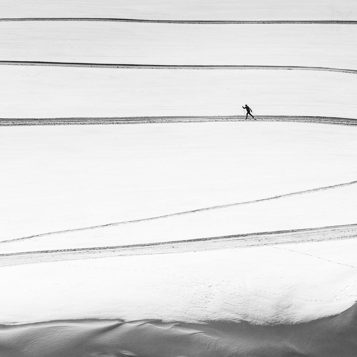 solitary . . Poster och Canvastavla