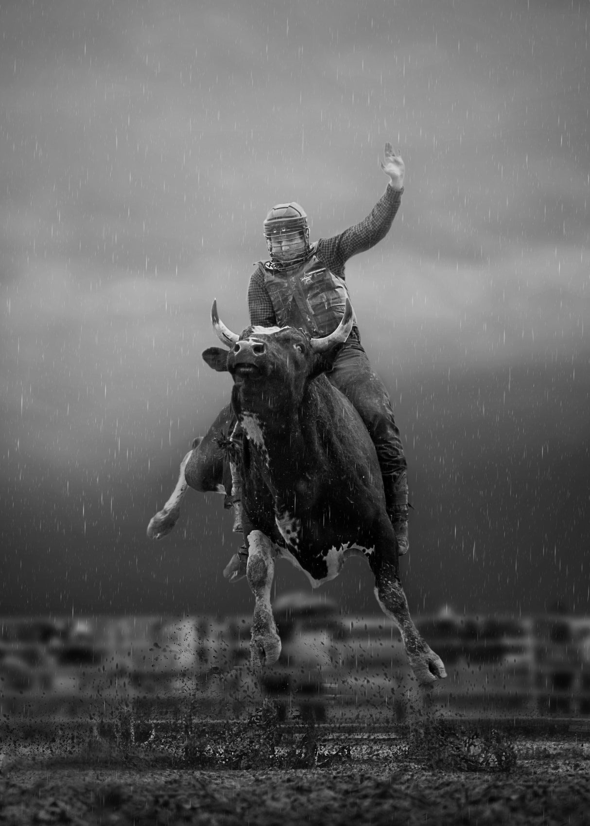 Bull Riding  Ontario #2 Poster och Canvastavla