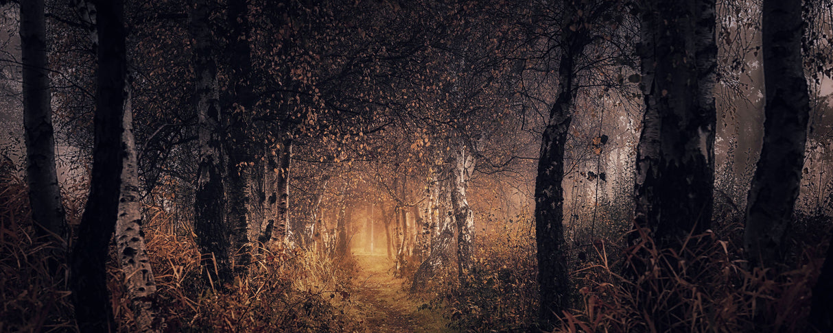 Whispering leaves Poster och Canvastavla