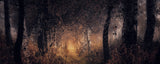 Whispering leaves Poster och Canvastavla