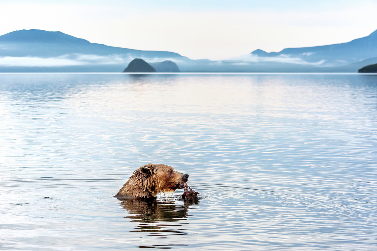 Kurile Lake Poster och Canvastavla