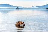 Kurile Lake Poster och Canvastavla