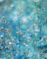 Pure Feeling of Dreams Poster och Canvastavla