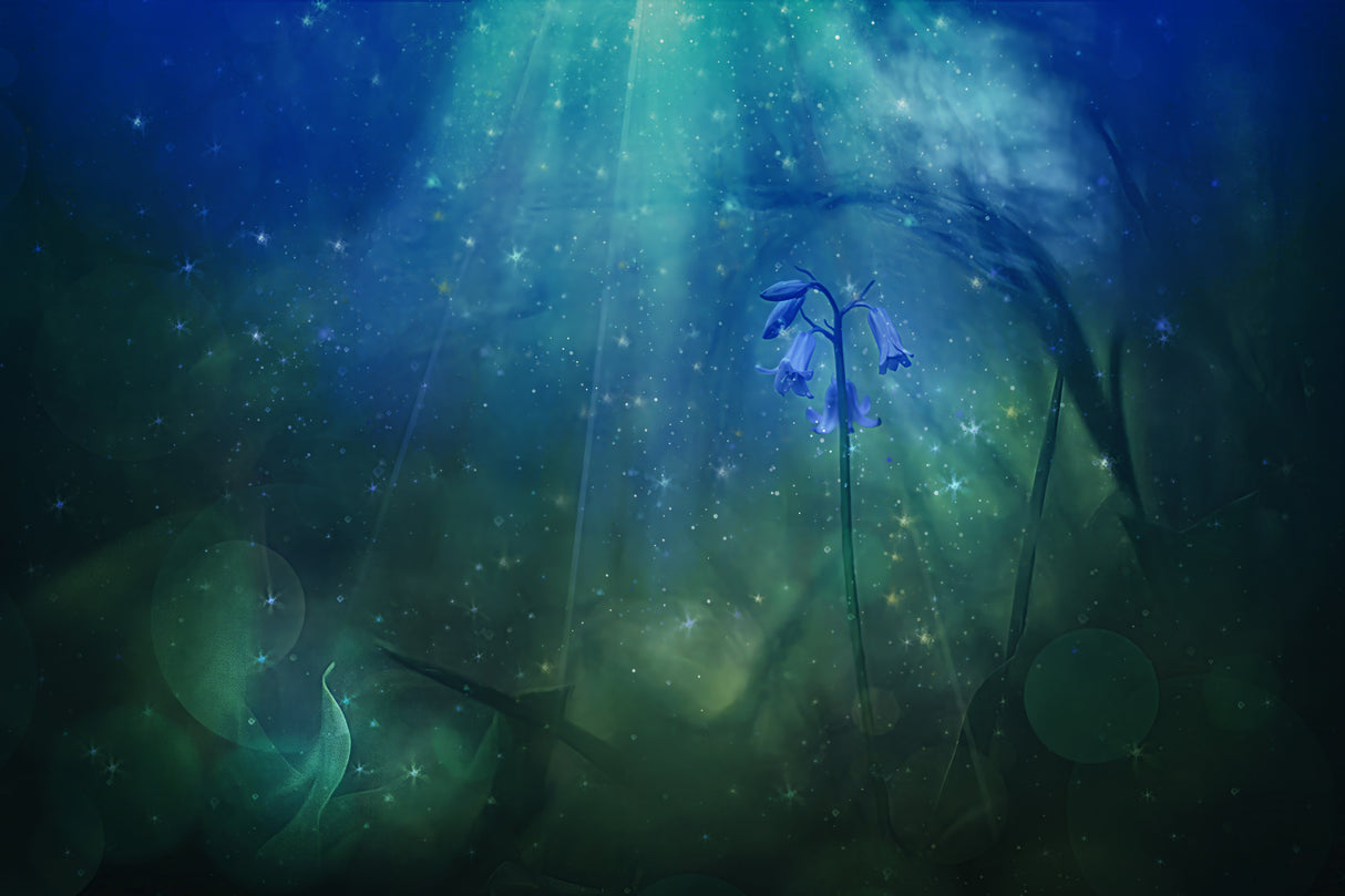 Moody spring Poster och Canvastavla