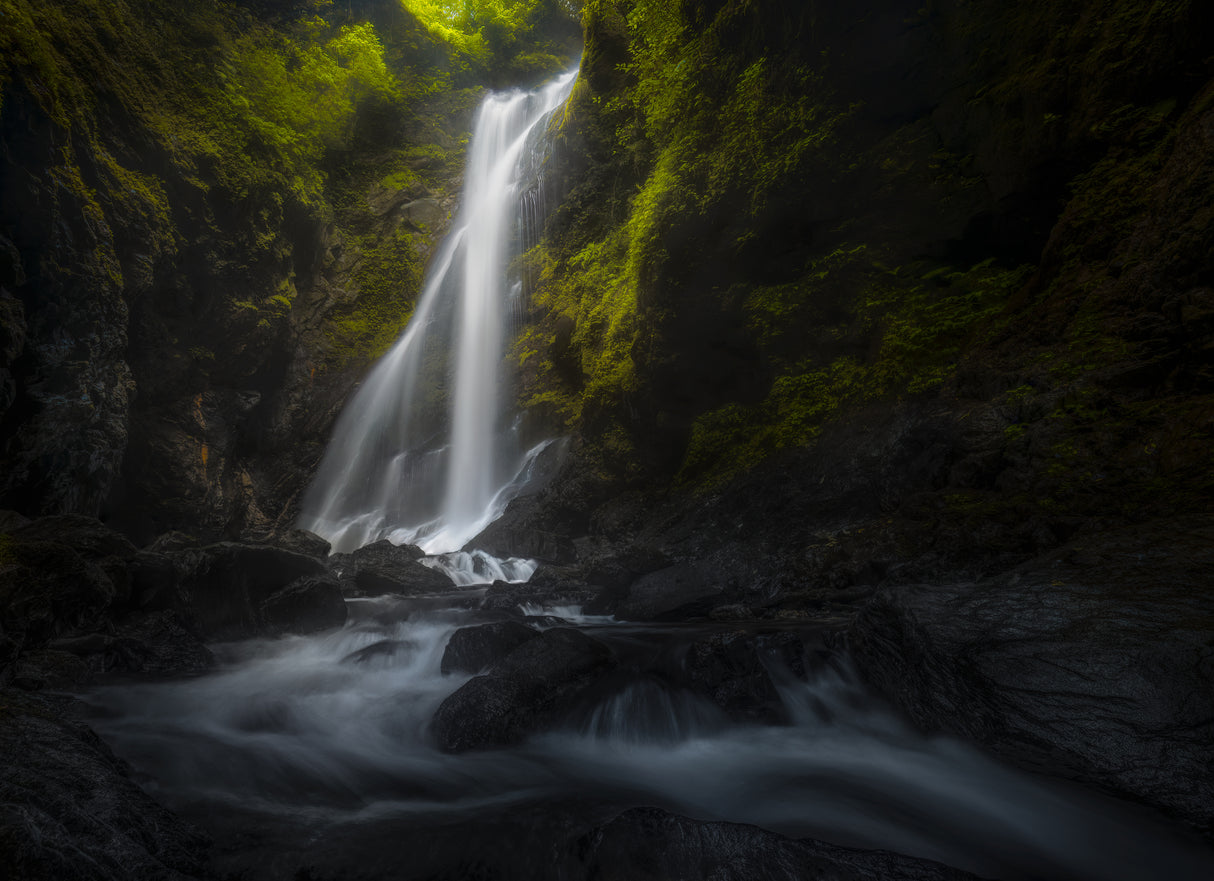 Light of Mountain Stream Poster och Canvastavla