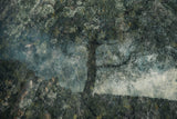 Rocks and a tree Poster och Canvastavla