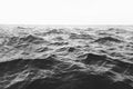 Wavy Horizon BW Poster och Canvastavla