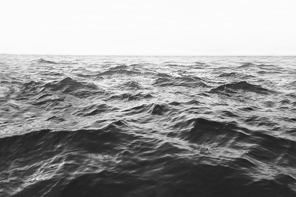 Wavy Horizon BW Poster och Canvastavla