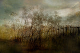 Old dream Poster och Canvastavla