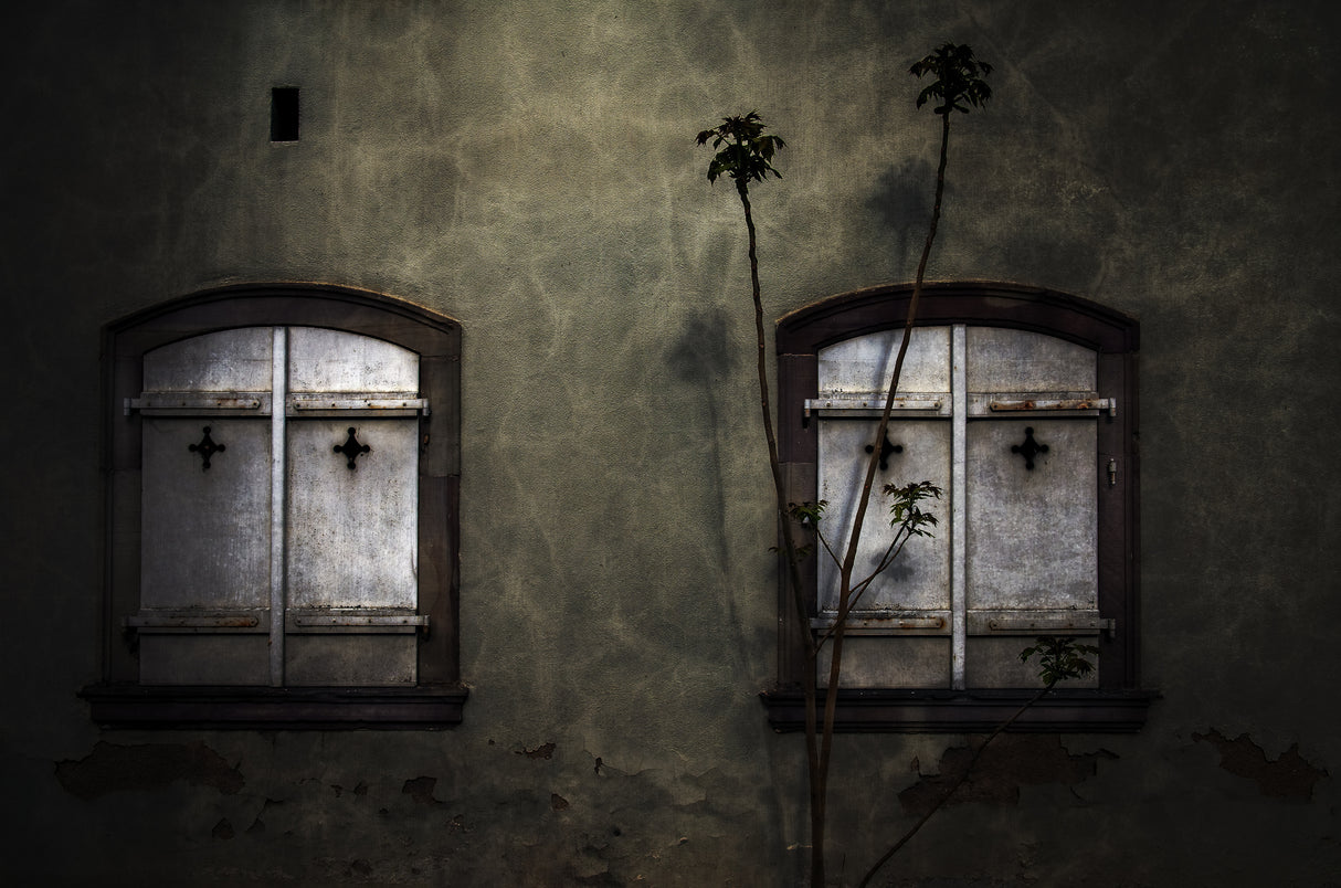 - Closed Shutters - Poster och Canvastavla