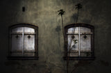 - Closed Shutters - Poster och Canvastavla