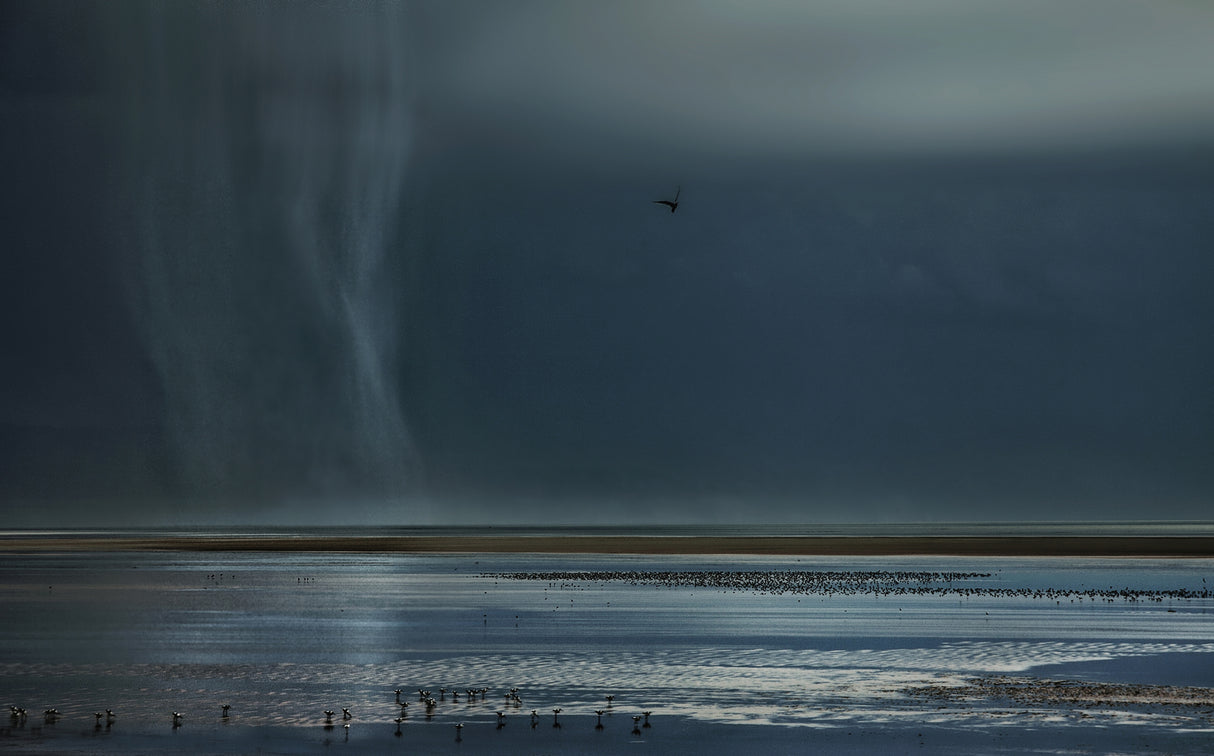 Rain is coming ... Poster och Canvastavla