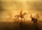 A Cowboy in Anatolia Poster och Canvastavla