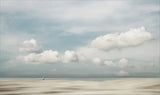 Tracking the coastline Poster och Canvastavla