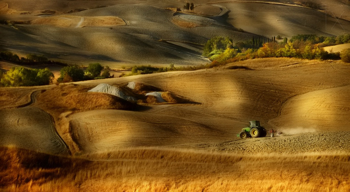 Preparation for sowing - Volterra (PI) - Toscana - Italy Poster och Canvastavla