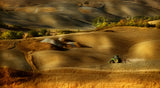 Preparation for sowing - Volterra (PI) - Toscana - Italy Poster och Canvastavla