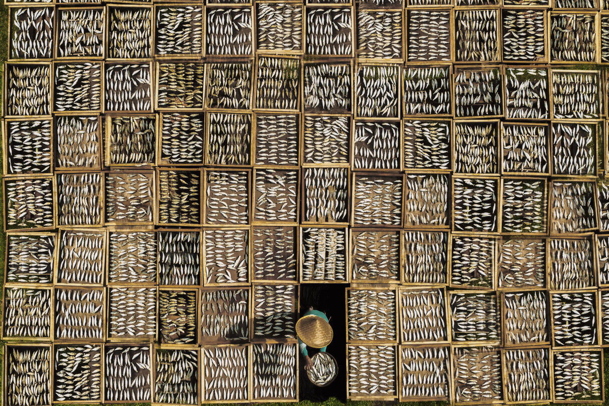Salted Dried Fish Poster och Canvastavla