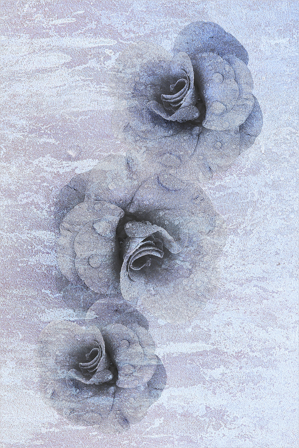 Traces of fading beauty Poster och Canvastavla