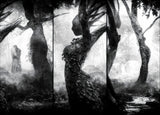 Forest - the other Side - Poster och Canvastavla