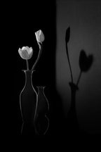 The Shadow of Spring Poster och Canvastavla