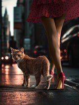 StreetCat Poster och Canvastavla