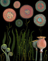 Poppy Garden.png Poster och Canvastavla