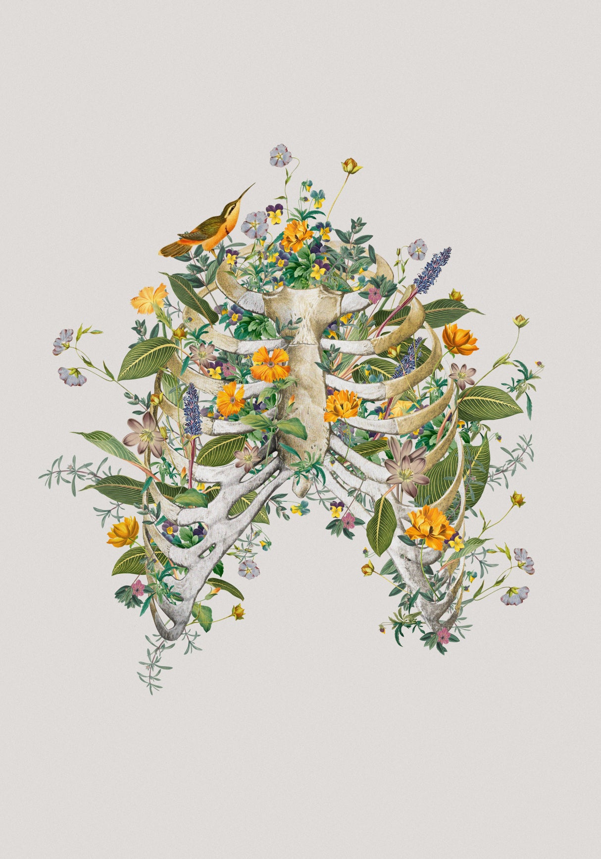Floral thorax Poster och Canvastavla