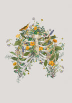 Floral thorax Poster och Canvastavla