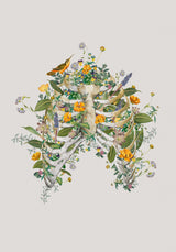 Floral thorax Poster och Canvastavla