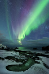 Green Fairy Poster och Canvastavla