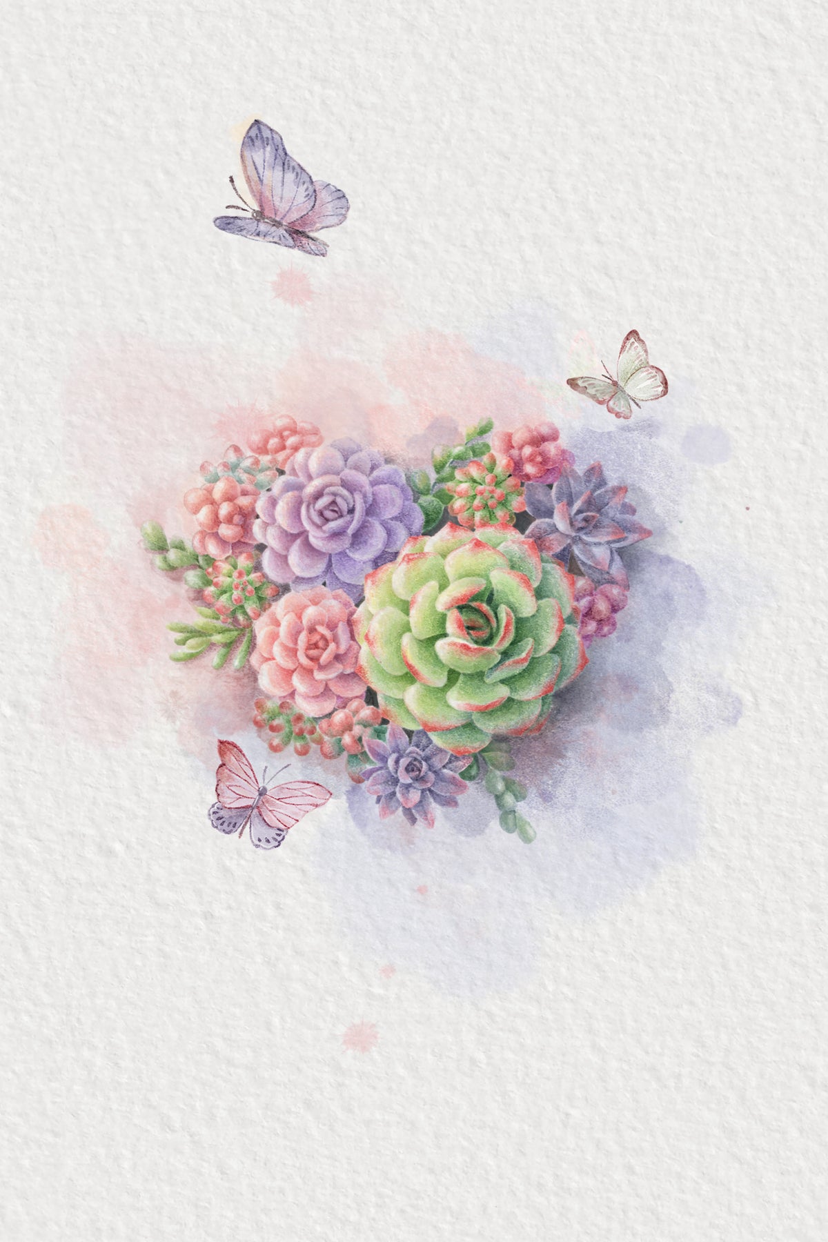 Vintage Succulent (1) Poster och Canvastavla