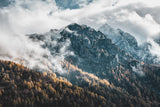 Fog in the mountains Poster och Canvastavla