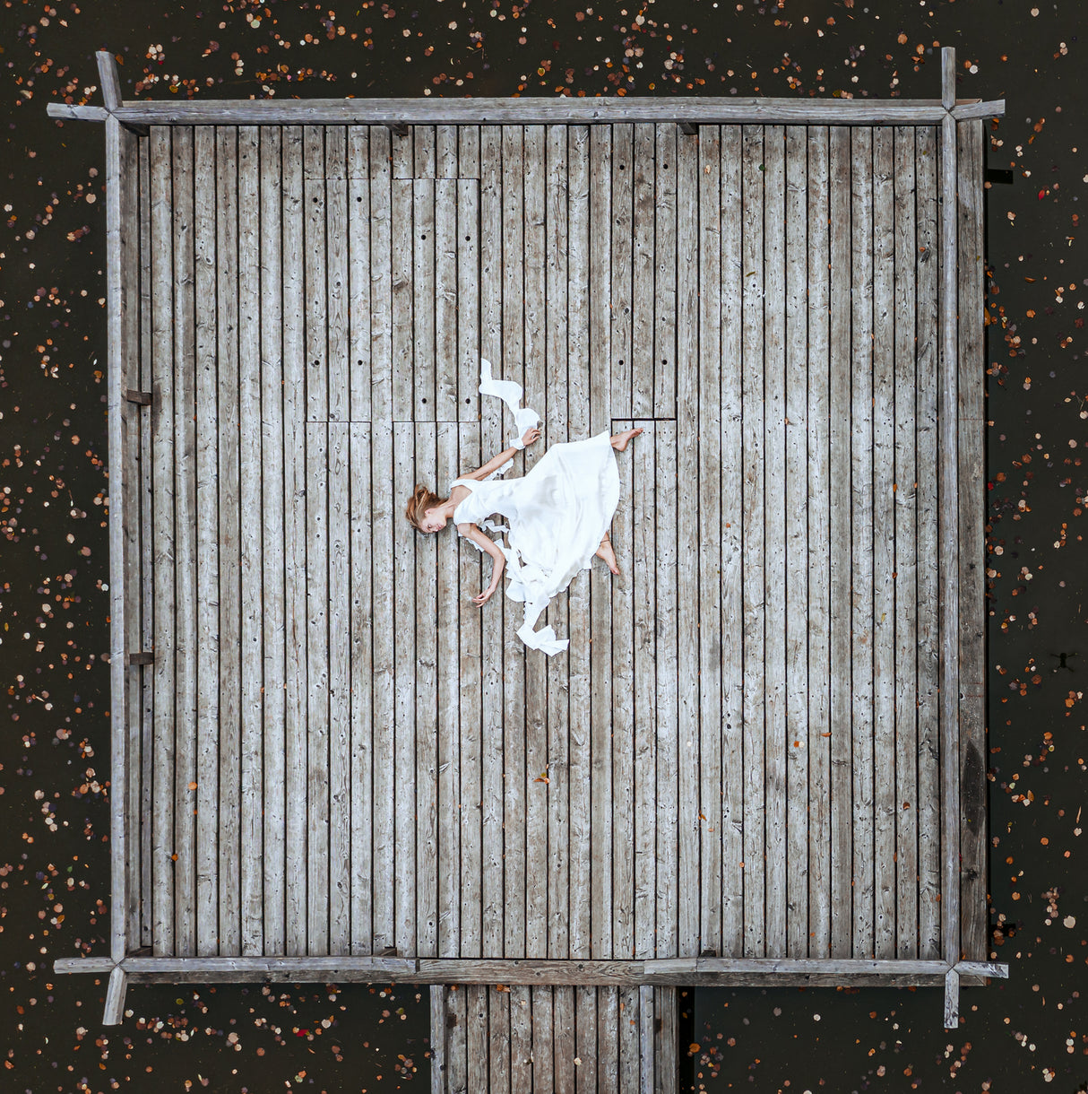 Elevated I Poster och Canvastavla
