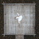 Elevated I Poster och Canvastavla