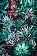 Succulents and cactus 4 Poster och Canvastavla