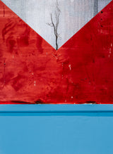 there is growing something Poster och Canvastavla