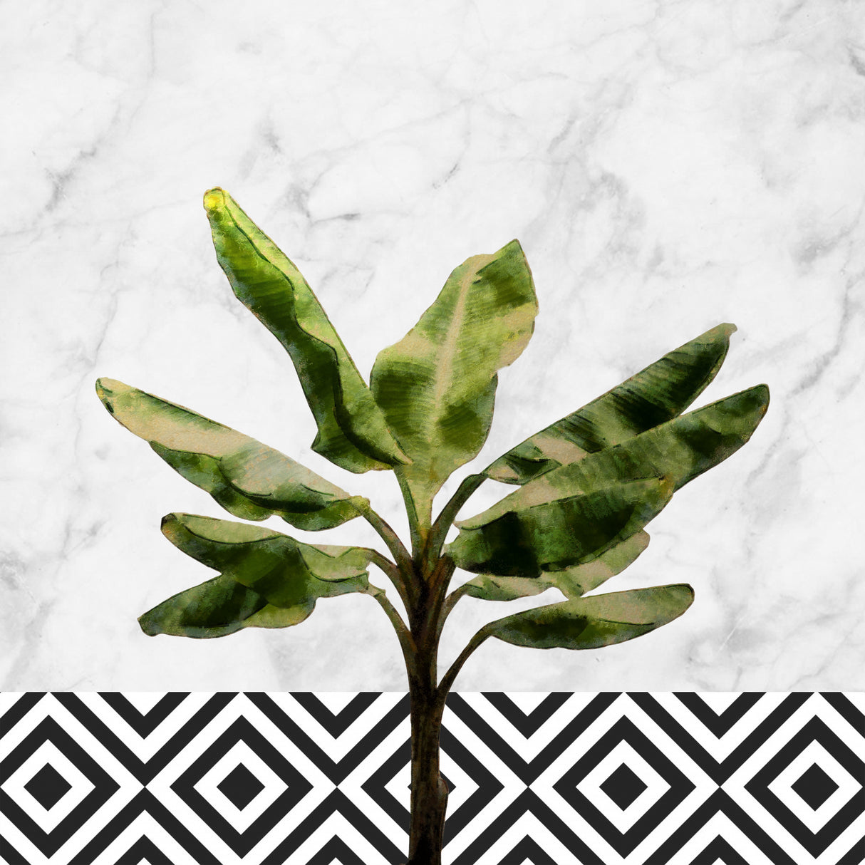 Banana Tree on Checkered Wall Poster och Canvastavla