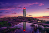 Standing tall and proud Poster och Canvastavla