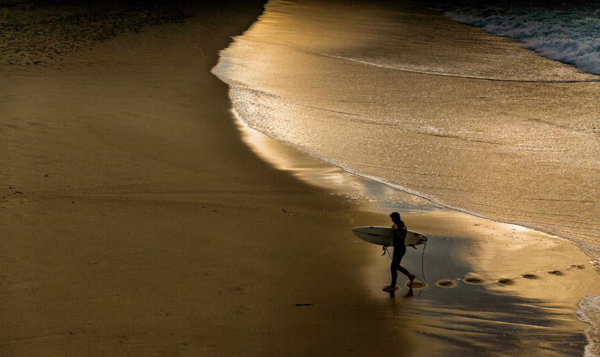 Surfer on the shore Poster och Canvastavla