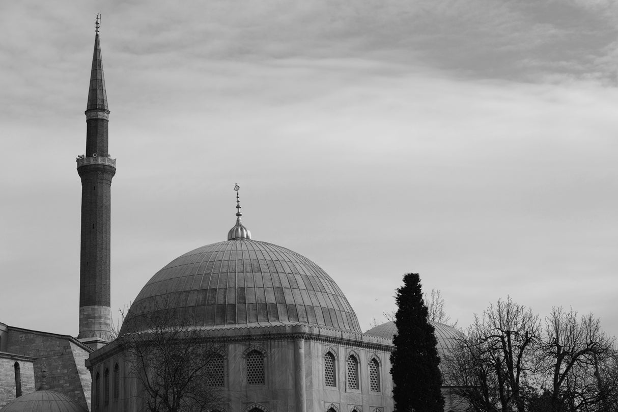 historical mosque from Istanbul, Turkey Poster och Canvastavla