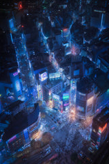 Flying Shibuya Poster och Canvastavla