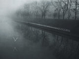 days of mist Poster och Canvastavla