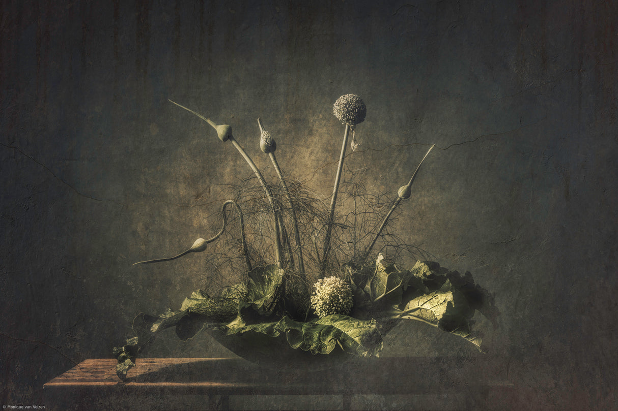 Still life vegetable Poster och Canvastavla