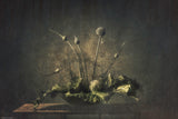 Still life vegetable Poster och Canvastavla