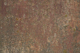 Rust 35 Poster och Canvastavla