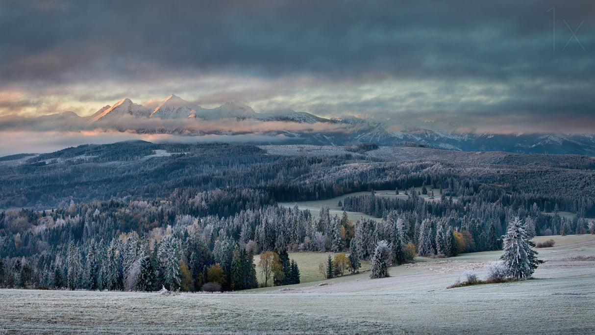 First touch of winter Poster och Canvastavla