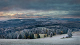 First touch of winter Poster och Canvastavla