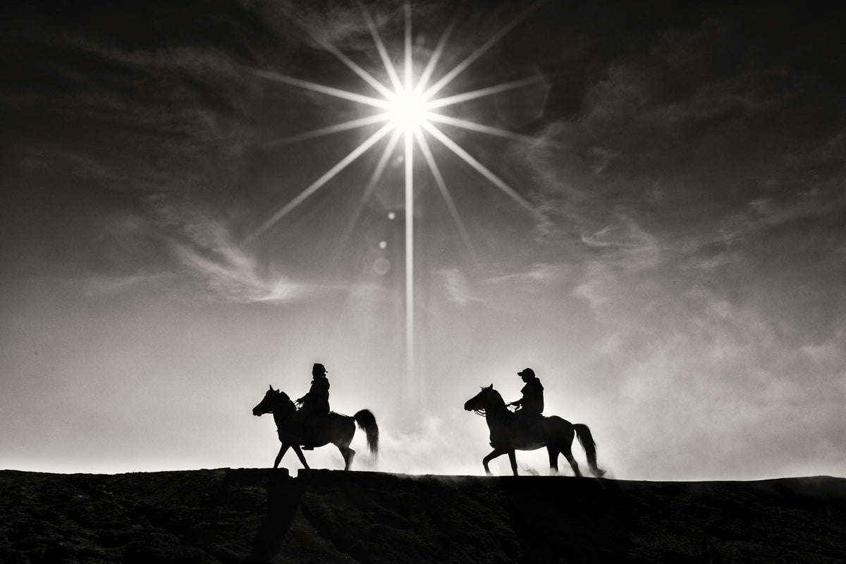 Horse Riders in Mt Bromo Poster och Canvastavla
